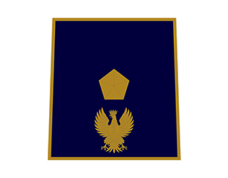 Vice Ispettori